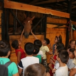 Yaz Okulu Öğrencilerine At Çiftliği Gezisi